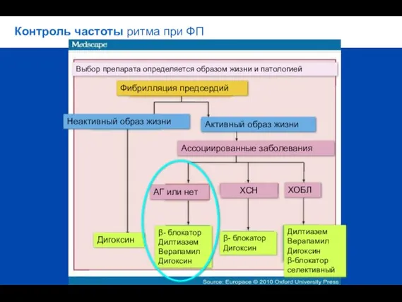 Контроль частоты ритма при ФП Выбор препарата определяется образом жизни и патологией