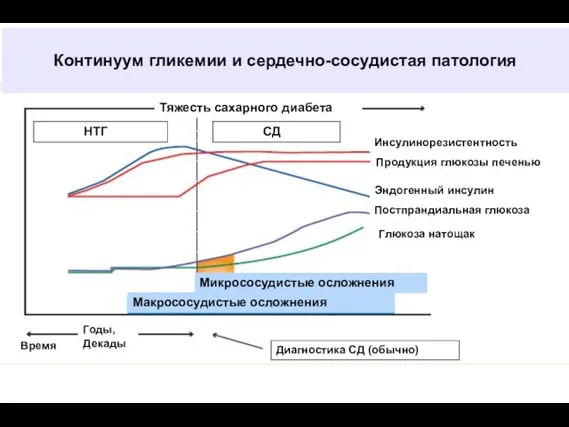 Тяжесть сахарного диабета НТГ СД Инсулинорезистентность Продукция глюкозы печенью Эндогенный инсулин Постпрандиальная