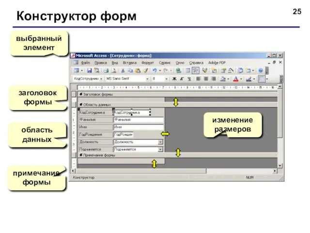 Конструктор форм выбранный элемент заголовок формы область данных примечание формы