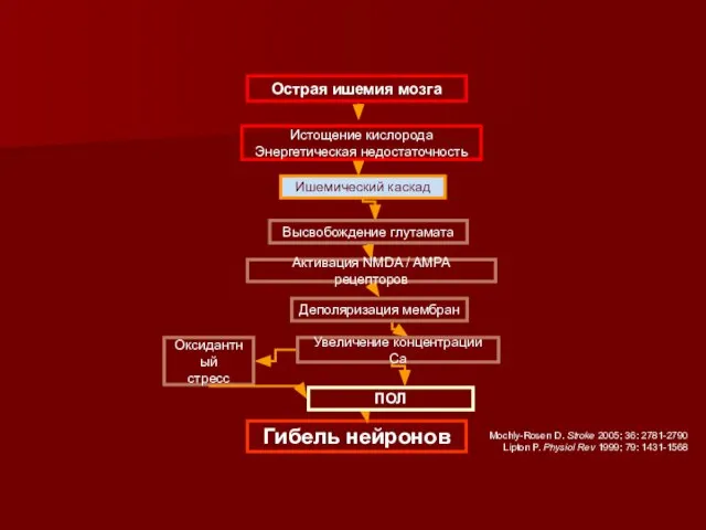 Острая ишемия мозга Гибель нейронов Ишемический каскад Оксидантный стресс ПОЛ Mochly-Rosen D.