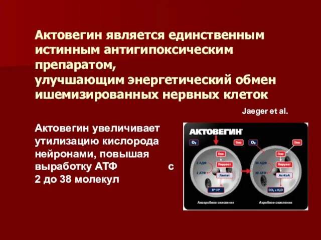 Актовегин является единственным истинным антигипоксическим препаратом, улучшающим энергетический обмен ишемизированных нервных клеток