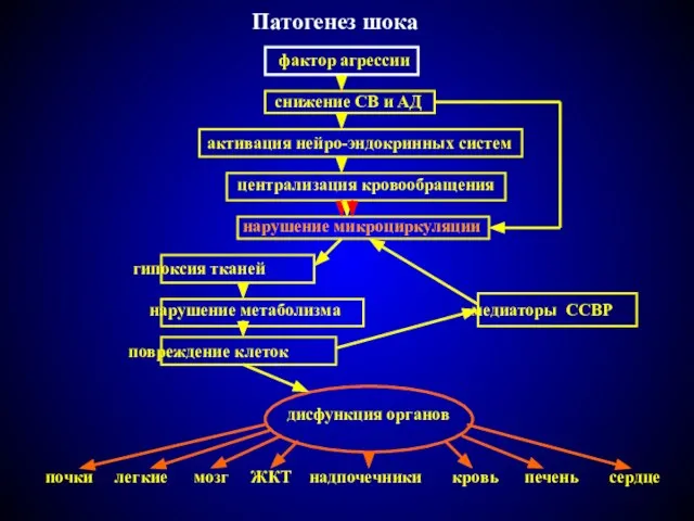 Патогенез шока фактор агрессии снижение СВ и АД активация нейро-эндокринных систем централизация