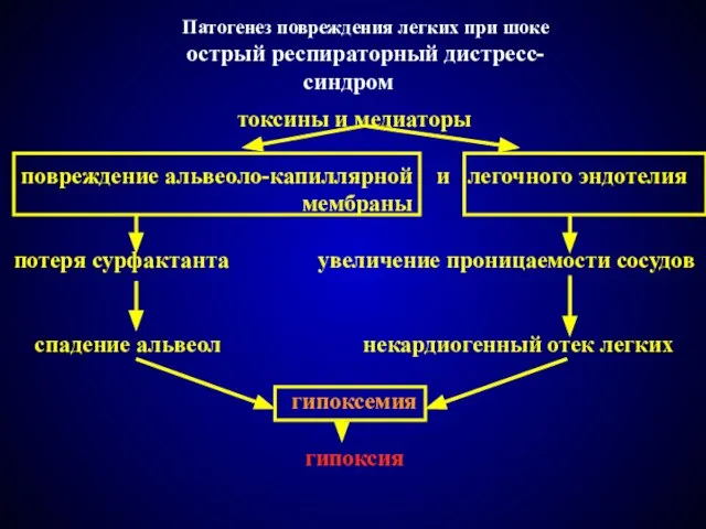 Патогенез повреждения легких при шоке острый респираторный дистресс-синдром токсины и медиаторы повреждение