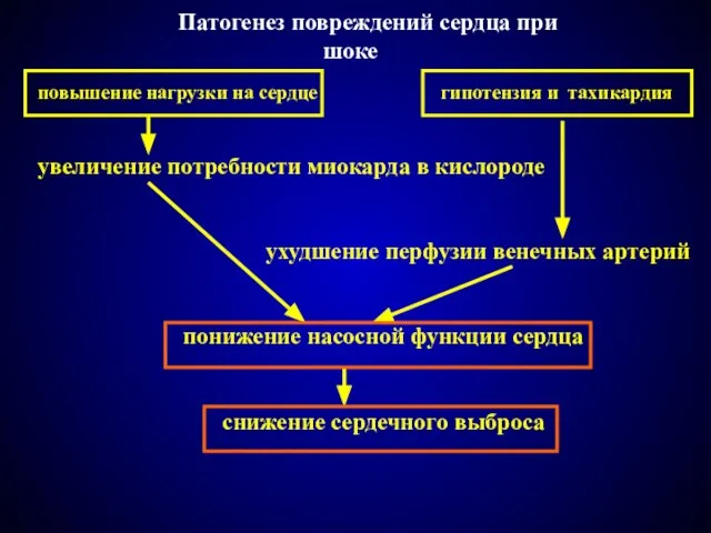 Патогенез повреждений сердца при шоке повышение нагрузки на сердце гипотензия и тахикардия