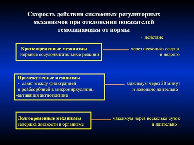 Скорость действия системных регуляторных механизмов при отклонении показателей гемодинамики от нормы ∙