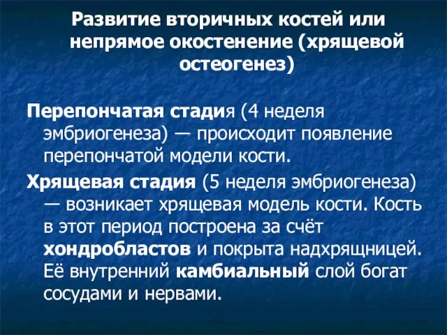 Развитие вторичных костей или непрямое окостенение (хрящевой остеогенез) Перепончатая стадия (4 неделя