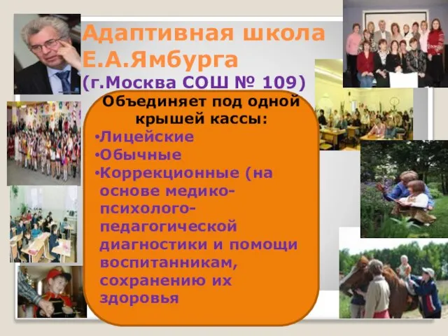 Адаптивная школа Е.А.Ямбурга (г.Москва СОШ № 109) Объединяет под одной крышей кассы: