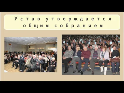 Устав утверждается общим собранием