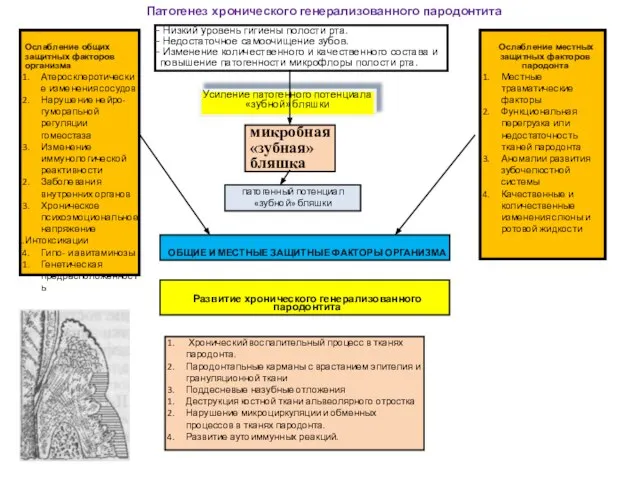 Патогенез хронического генерализованного пародонтита Низкий уровень гигиены полости рта. Недостаточное самоочищение зубов.