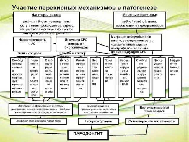 Участие перекисных механизмов в патогенезе пародонтита Факторы риска: дефицит биоантиоксидантов, поступление проксидантов,