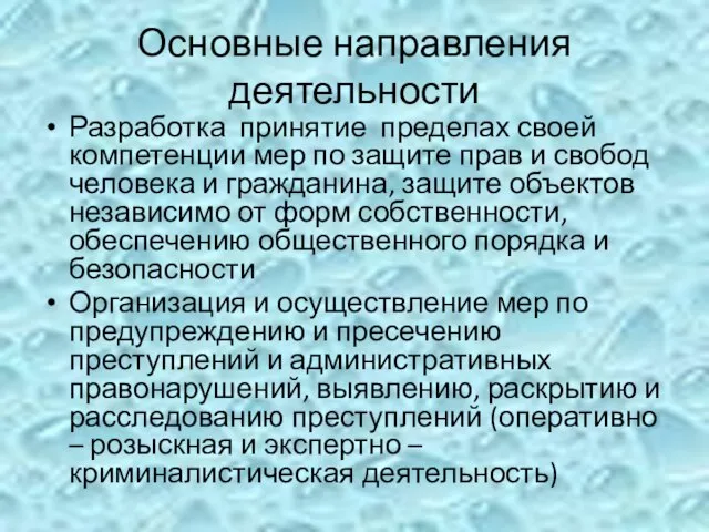 Основные направления деятельности Разработка принятие пределах своей компетенции мер по защите прав