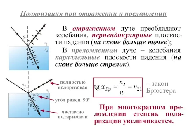 Поляризация при отражении и преломлении В отраженном луче преобладают колебания, перпендикулярные плоскос-ти