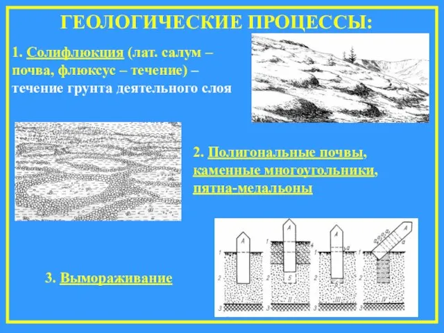 ГЕОЛОГИЧЕСКИЕ ПРОЦЕССЫ: 1. Солифлюкция (лат. салум – почва, флюксус – течение) –