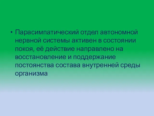 Парасимпатический отдел автономной нервной системы активен в состоянии покоя, её действие направлено