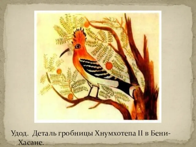 Удод. Деталь гробницы Хнумхотепа II в Бени-Хасане.