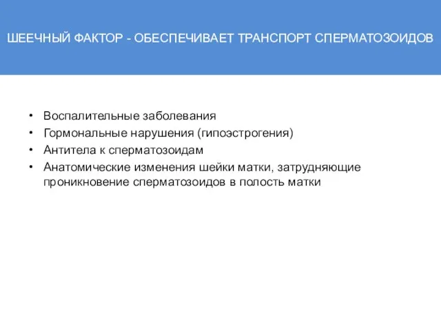 ШЕЕЧНЫЙ ФАКТОР - ОБЕСПЕЧИВАЕТ ТРАНСПОРТ СПЕРМАТОЗОИДОВ Воспалительные заболевания Гормональные нарушения (гипоэстрогения) Антитела