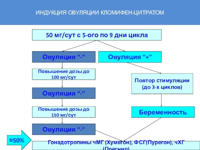 ИНДУКЦИЯ ОВУЛЯЦИИ КЛОМИФЕН-ЦИТРАТОМ 50 мг/сут с 5-ого по 9 дни цикла Овуляция