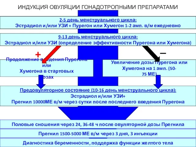 Увеличение дозы Пурегона или Хумегона на 1 амп. (50- 75 МЕ) Продолжение