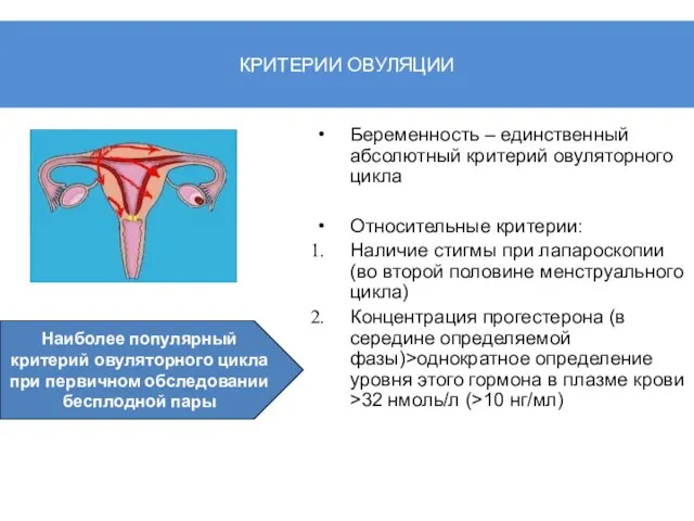 КРИТЕРИИ ОВУЛЯЦИИ Беременность – единственный абсолютный критерий овуляторного цикла Относительные критерии: Наличие