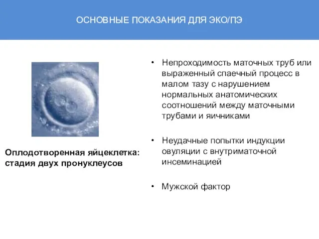 ОСНОВНЫЕ ПОКАЗАНИЯ ДЛЯ ЭКО/ПЭ Непроходимость маточных труб или выраженный спаечный процесс в