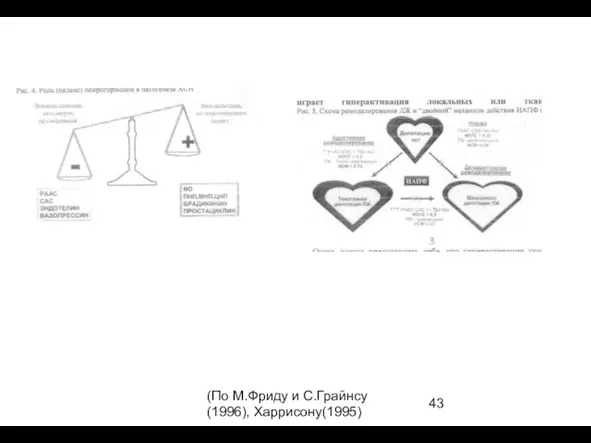 (По М.Фриду и С.Грайнсу (1996), Харрисону(1995)