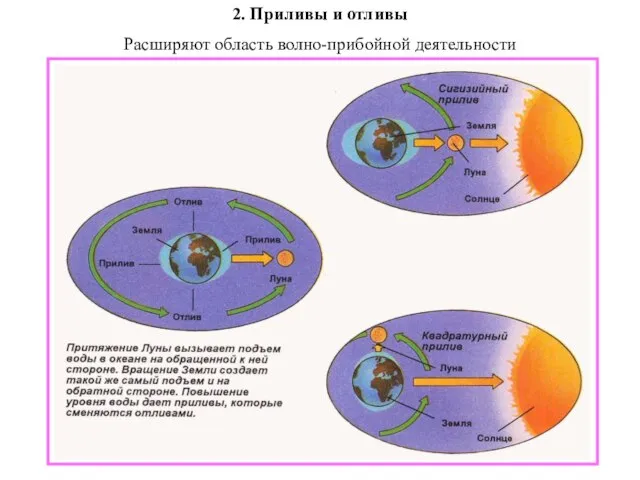 2. Приливы и отливы Расширяют область волно-прибойной деятельности