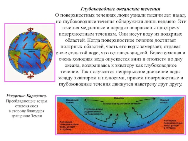 Глубоководные океанские течения О поверхностных течениях люди узнали тысячи лет назад, но