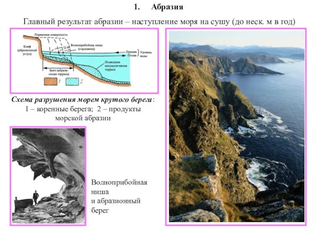 Абразия Главный результат абразии – наступление моря на сушу (до неск. м