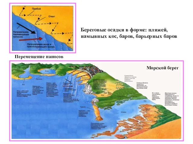 Перемещение наносов Береговые осадки в форме: пляжей, намывных кос, баров, барьерных баров Морской берег