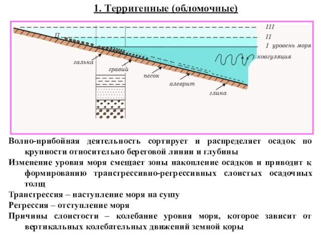 1. Терригенные (обломочные) Волно-прибойная деятельность сортирует и распределяет осадок по крупности относительно