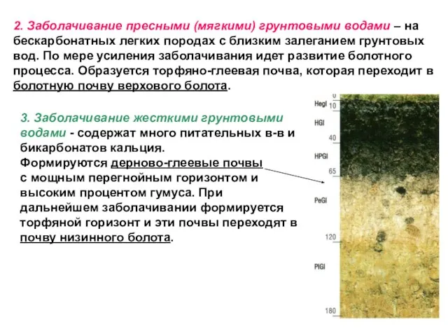 2. Заболачивание пресными (мягкими) грунтовыми водами – на бескарбонатных легких породах с