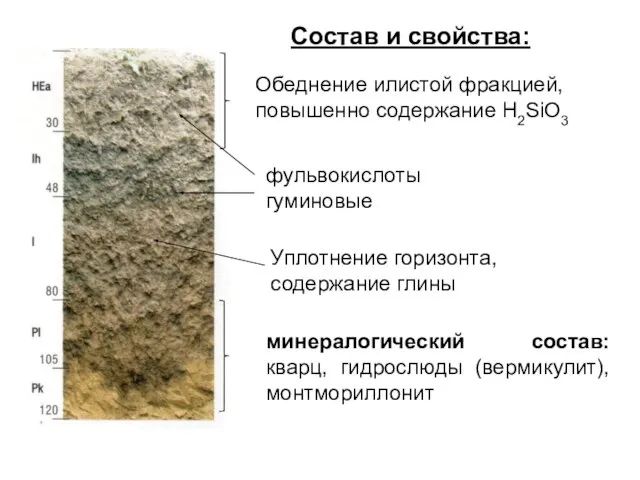 Состав и свойства: Обеднение илистой фракцией, повышенно содержание H2SiO3 минералогический состав: кварц,