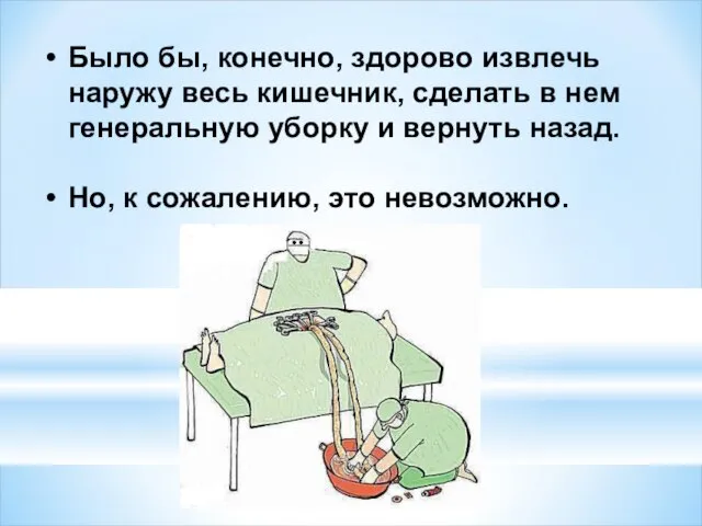 Было бы, конечно, здорово извлечь наружу весь кишечник, сделать в нем генеральную