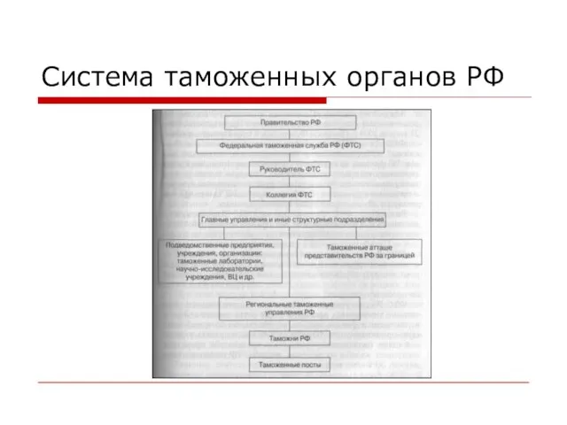 Система таможенных органов РФ