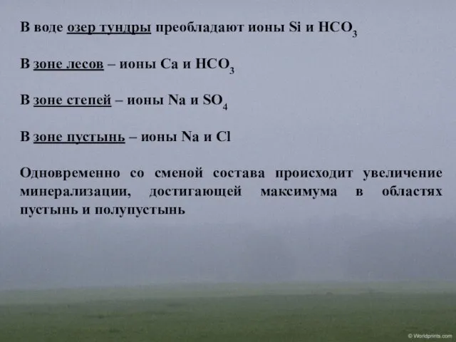 В воде озер тундры преобладают ионы Si и HCO3 В зоне лесов