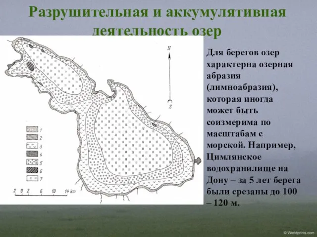 Разрушительная и аккумулятивная деятельность озер Для берегов озер характерна озерная абразия (лимноабразия),