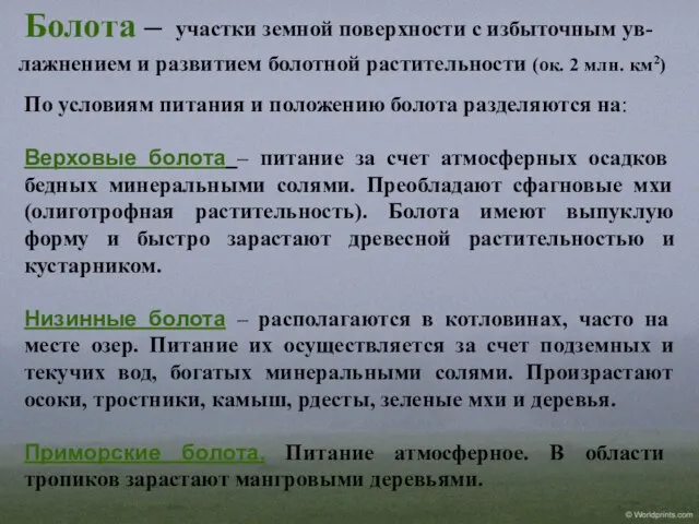 Болота – По условиям питания и положению болота разделяются на: Верховые болота