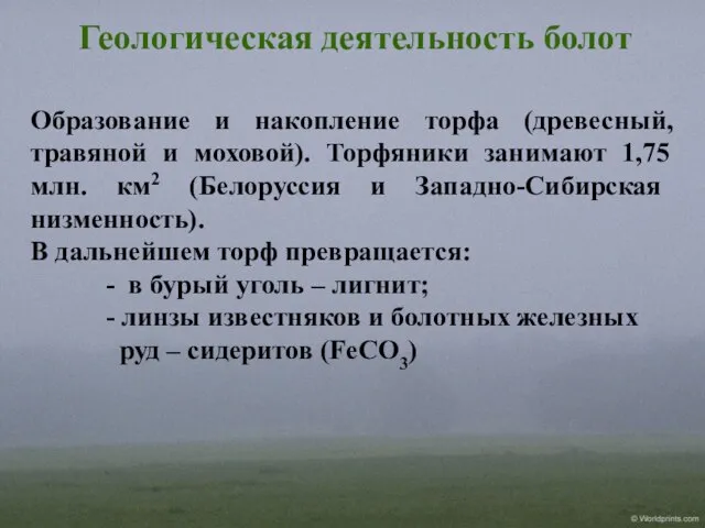 Геологическая деятельность болот Образование и накопление торфа (древесный, травяной и моховой). Торфяники