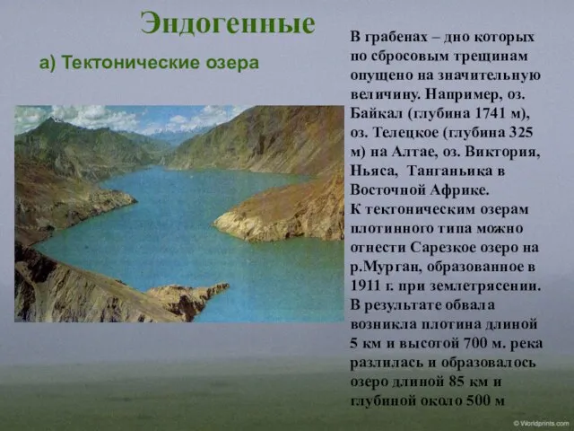 Эндогенные а) Тектонические озера В грабенах – дно которых по сбросовым трещинам