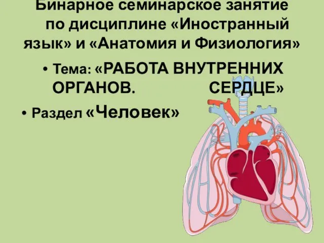 Бинарное семинарское занятие по дисциплине «Иностранный язык» и «Анатомия и Физиология» Тема: