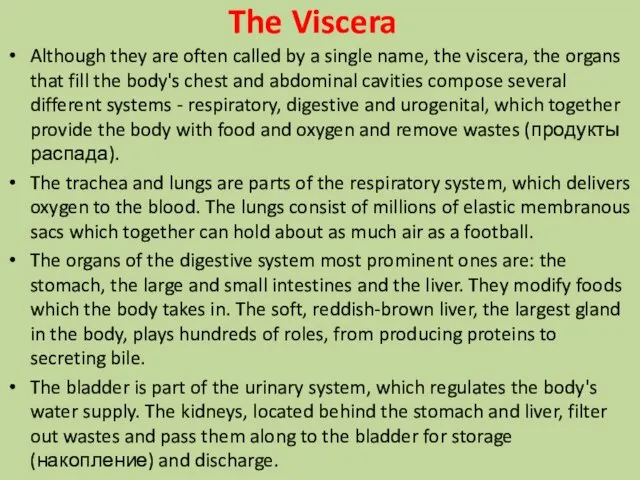 The Viscera Although they are often called by a single name, the