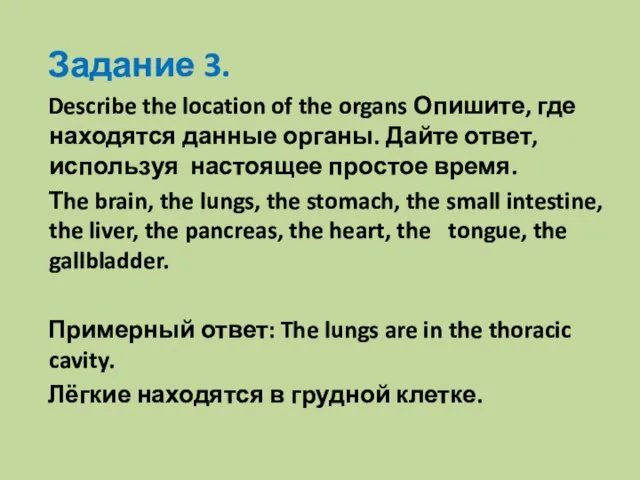 Задание 3. Describe the location of the organs Опишите, где находятся данные