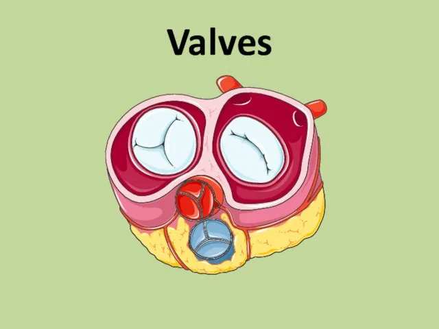 Valves