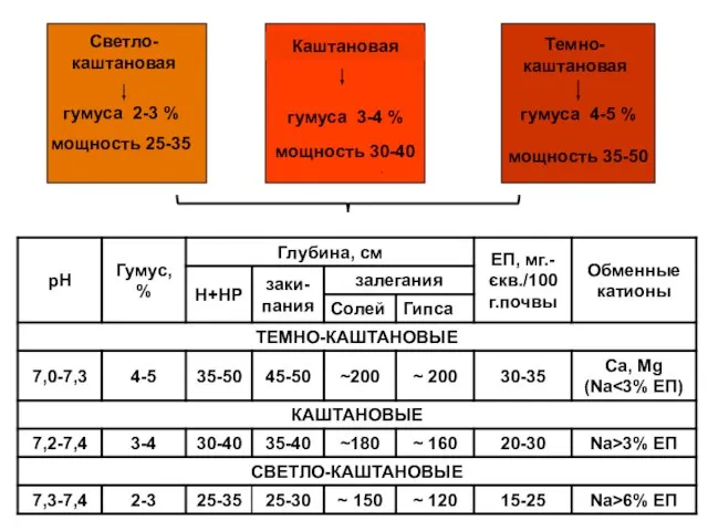 Светло-каштановая гумуса 2-3 % мощность 25-35 гумуса 4-5 % мощность 35-50 Темно-каштановая