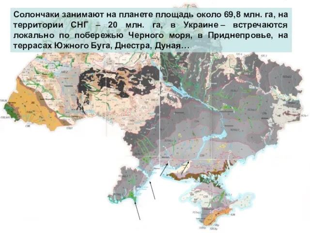 Солончаки занимают на планете площадь около 69,8 млн. га, на территории СНГ