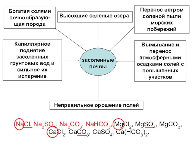 засоленные почвы Богатая солями почвообразую-щая порода Высохшие соленые озера Перенос ветром соленой