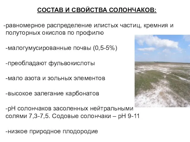 СОСТАВ И СВОЙСТВА СОЛОНЧАКОВ: равномерное распределение илистых частиц, кремния и полуторных окислов