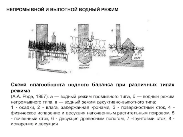 НЕПРОМЫВНОЙ И ВЫПОТНОЙ ВОДНЫЙ РЕЖИМ Схема влагооборота водного баланса при различных типах