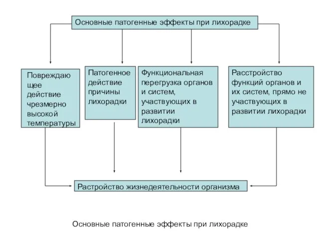 Основные патогенные эффекты при лихорадке Повреждающее действие чрезмерно высокой температуры Патогенное действие