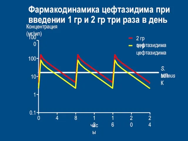 S. aureus MПК Фармакодинамика цефтазидима при введении 1 гр и 2 гр